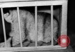 Standbild Big Polizei Circus Rochester Indiana USA, 1938, aus Sekunde 36 historischem Filmmaterial Videoclip 65675043531