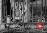 Standbild Big Polizei Circus Rochester Indiana USA, 1938, aus Sekunde 38 historischem Filmmaterial Videoclip 65675043531