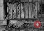 Standbild Big Polizei Circus Rochester Indiana USA, 1938, aus Sekunde 51 historischem Filmmaterial Videoclip 65675043531