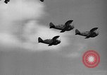 Image air chow Birmingham Alabama USA, 1939, de la seconde 5 séquences d'archives historiques vidéo 65675043540