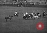 Immagine di International Polo Cup series Westbury New York USA, 1939, secondo 4 filmato di repertorio 65675043543