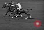 Immagine di International Polo Cup series Westbury New York USA, 1939, secondo 38 filmato di repertorio 65675043543
