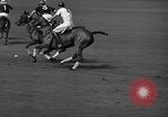 Immagine di International Polo Cup series Westbury New York USA, 1939, secondo 40 filmato di repertorio 65675043543