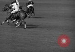 Immagine di International Polo Cup series Westbury New York USA, 1939, secondo 43 filmato di repertorio 65675043543