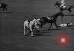 Immagine di International Polo Cup series Westbury New York USA, 1939, secondo 59 filmato di repertorio 65675043543