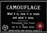 Image of World War I Camouflage France, 1918, second 13 stock footage video 65675043544