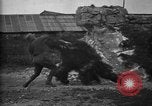Image of Camouflage techniques World War 1 France, 1918, second 31 stock footage video 65675043545