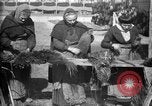 Image of French women make camouflage France, 1918, second 16 stock footage video 65675043546