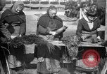 Image of French women make camouflage France, 1918, second 18 stock footage video 65675043546