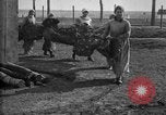Image of camouflaged screens in World War 1 France, 1918, second 42 stock footage video 65675043547