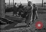 Image of camouflaged screens in World War 1 France, 1918, second 43 stock footage video 65675043547