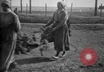 Image of camouflaged screens in World War 1 France, 1918, second 49 stock footage video 65675043547