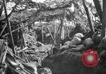 Standbild Graben camouflage Ersten Weltkrieg Frankreich, 1918, aus Sekunde 14 historischem Filmmaterial Videoclip 65675043548