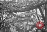Standbild Graben camouflage Ersten Weltkrieg Frankreich, 1918, aus Sekunde 17 historischem Filmmaterial Videoclip 65675043548