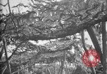 Standbild Graben camouflage Ersten Weltkrieg Frankreich, 1918, aus Sekunde 18 historischem Filmmaterial Videoclip 65675043548