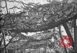 Standbild Graben camouflage Ersten Weltkrieg Frankreich, 1918, aus Sekunde 19 historischem Filmmaterial Videoclip 65675043548