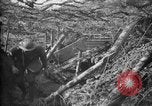 Standbild Graben camouflage Ersten Weltkrieg Frankreich, 1918, aus Sekunde 22 historischem Filmmaterial Videoclip 65675043548