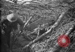 Standbild Graben camouflage Ersten Weltkrieg Frankreich, 1918, aus Sekunde 23 historischem Filmmaterial Videoclip 65675043548