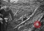 Standbild Graben camouflage Ersten Weltkrieg Frankreich, 1918, aus Sekunde 24 historischem Filmmaterial Videoclip 65675043548