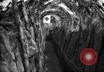 Standbild Graben camouflage Ersten Weltkrieg Frankreich, 1918, aus Sekunde 27 historischem Filmmaterial Videoclip 65675043548