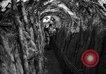 Standbild Graben camouflage Ersten Weltkrieg Frankreich, 1918, aus Sekunde 32 historischem Filmmaterial Videoclip 65675043548