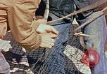 Image of Camouflage Engineers Massachusetts United States USA, 1941, second 42 stock footage video 65675043553