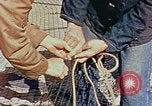 Image of Camouflage Engineers Massachusetts United States USA, 1941, second 44 stock footage video 65675043553