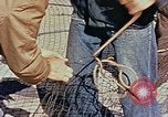 Image of Camouflage Engineers Massachusetts United States USA, 1941, second 45 stock footage video 65675043553