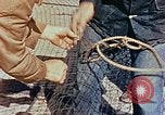 Image of Camouflage Engineers Massachusetts United States USA, 1941, second 46 stock footage video 65675043553