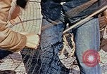 Image of Camouflage Engineers Massachusetts United States USA, 1941, second 47 stock footage video 65675043553