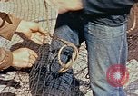 Image of Camouflage Engineers Massachusetts United States USA, 1941, second 49 stock footage video 65675043553