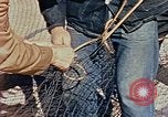 Image of Camouflage Engineers Massachusetts United States USA, 1941, second 50 stock footage video 65675043553