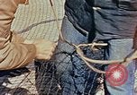 Image of Camouflage Engineers Massachusetts United States USA, 1941, second 51 stock footage video 65675043553