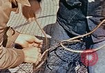 Image of Camouflage Engineers Massachusetts United States USA, 1941, second 57 stock footage video 65675043553