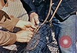 Image of Camouflage Engineers Massachusetts United States USA, 1941, second 58 stock footage video 65675043553