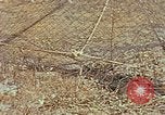 Image of Camouflage Engineers Massachusetts United States USA, 1941, second 59 stock footage video 65675043553