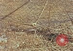 Image of Camouflage Engineers Massachusetts United States USA, 1941, second 60 stock footage video 65675043553