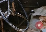 Image of 2nd Infantry Division soldiers Korea, 1968, second 44 stock footage video 65675043554