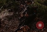Image of 7th Infantry Division soldiers Korea, 1968, second 10 stock footage video 65675043558
