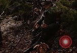 Image of 7th Infantry Division soldiers Korea, 1968, second 11 stock footage video 65675043558