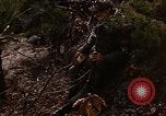 Image of 7th Infantry Division soldiers Korea, 1968, second 12 stock footage video 65675043558