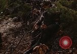 Image of 7th Infantry Division soldiers Korea, 1968, second 13 stock footage video 65675043558