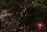 Image of 7th Infantry Division soldiers Korea, 1968, second 14 stock footage video 65675043558