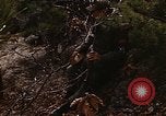 Image of 7th Infantry Division soldiers Korea, 1968, second 15 stock footage video 65675043558