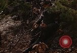 Image of 7th Infantry Division soldiers Korea, 1968, second 16 stock footage video 65675043558