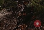 Image of 7th Infantry Division soldiers Korea, 1968, second 17 stock footage video 65675043558