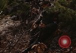 Image of 7th Infantry Division soldiers Korea, 1968, second 18 stock footage video 65675043558