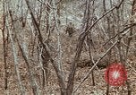 Image of 7th Infantry Division soldiers Korea, 1968, second 40 stock footage video 65675043558