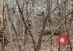 Image of 7th Infantry Division soldiers Korea, 1968, second 41 stock footage video 65675043558
