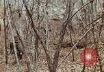 Image of 7th Infantry Division soldiers Korea, 1968, second 42 stock footage video 65675043558